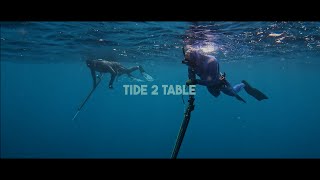Tide 2 Table Trailer