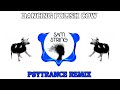 Dancing polish cow samstring remix