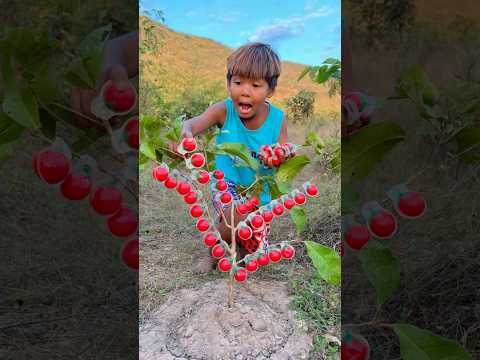 Survival Skills: SMART idea and USEFUL in forest #bushcraft #camping #outdoors #useful #idea