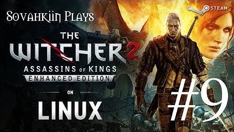 Sovahkiin Plays on Linux: Witcher 2 - Episode 9