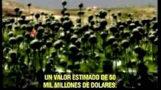DEF TV - Programa 50 - RETIRO DE TROPAS EN IRAK - Bloque 2 - Parte 1