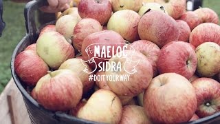 Proyecto Maeloc, una apuesta por la sidra 100% gallega