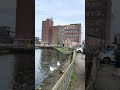 Driffield Disappearing Duck mystery Solved!@philhermetic #shortvideo