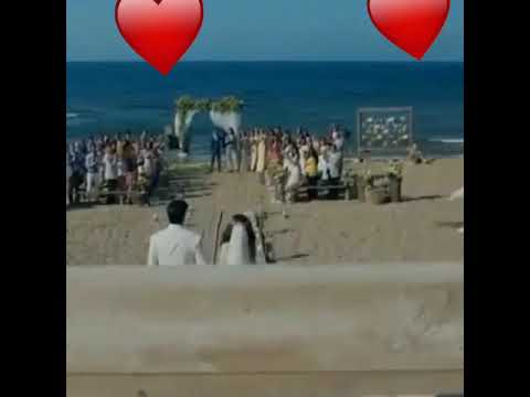 الحب الي كواني 