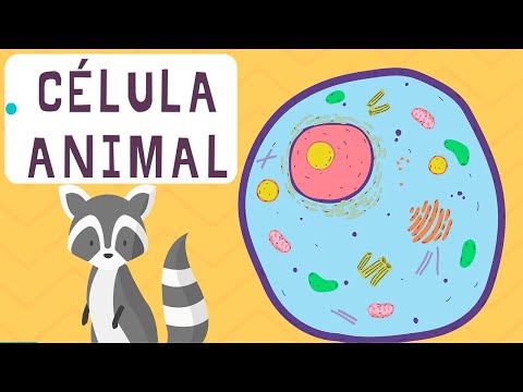 La 🦠 CÉLULA