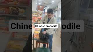chinese reptilian crocodile 🐊 on the move 😋 #ghosttouch