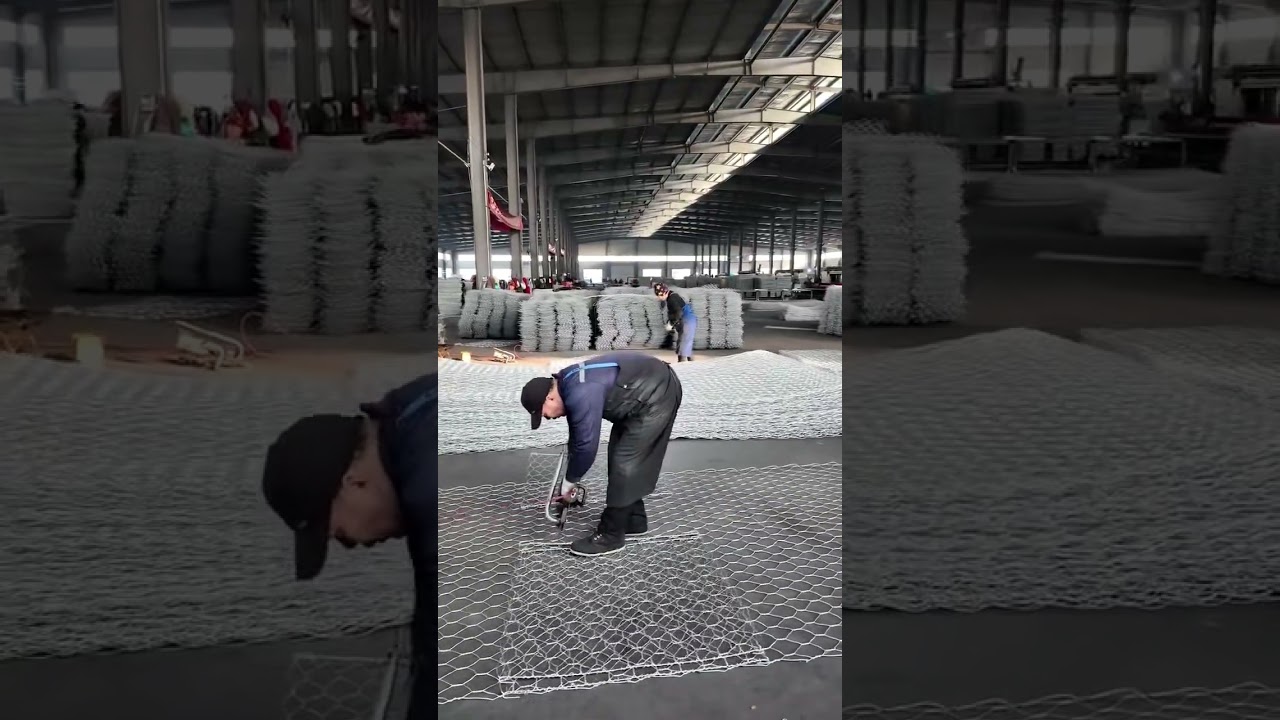 Professional Gabion Mesh Manufacturing | Hexagonal Wire Mesh Factory Tour | DB Fencing Supplier