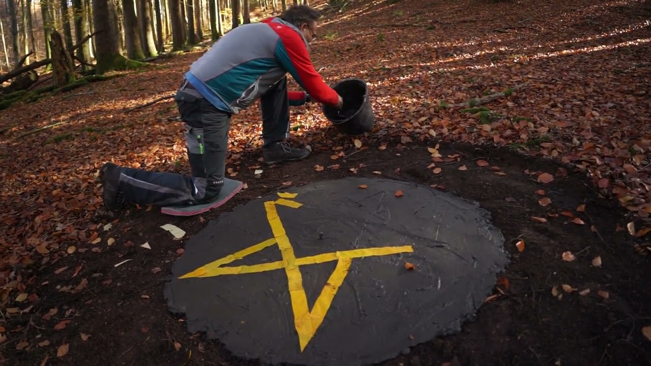 LUX ARBORUM  Hama Lohrmann  LANDART