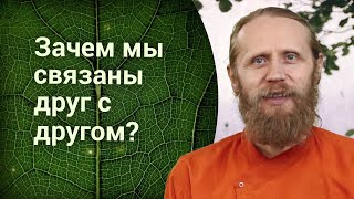 Зачем заботиться обо всех? Чем выгодна йога? Социальная философия