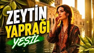 Zeytin Yaprağı Yeşil Oy Seni Sallamayımda