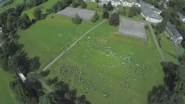 iPerform 2015 Lipdub