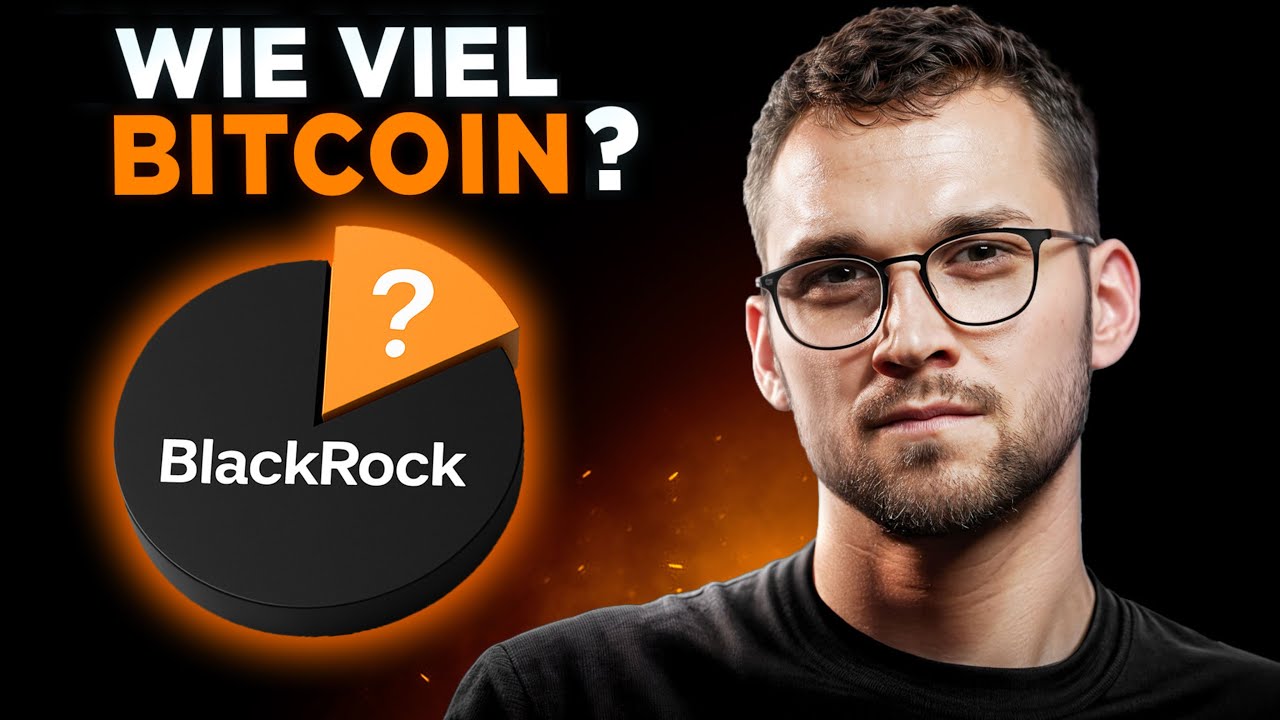 Wissenschaftlich überprüft: So viel BITCOIN brauchst Du im Portfolio!