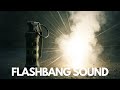 Flashbang Sound Effect Loud Explosion Tactical Impact Audio Flashbang Sound Effect Loud Explosion Tactical Impact Audio