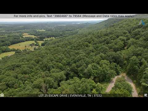 25 Escape Drive, Evensville, TN home video tour