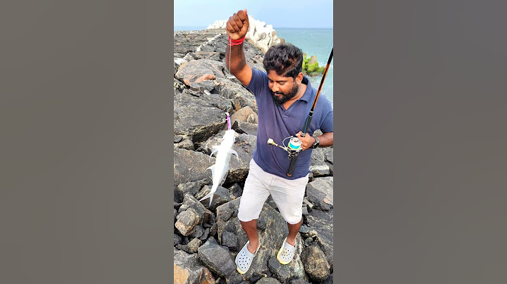 பொங்கல் பரிசு | Pongal gift GT fishing 🎣 | Ramnad Anglers | Ramnad Fishing