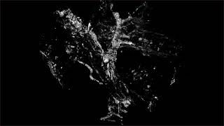 Pterosaur Pterodactyl micro CT scan 🦖🦕