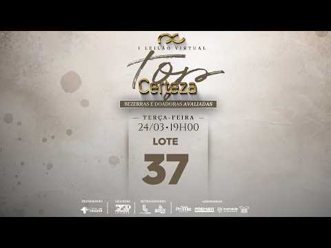 LOTE 37   LCCF 1381