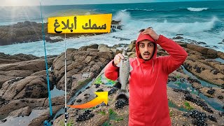 Download Lagu رحلة صيد الى جنوب الصحراء🇲🇦 في موسم صيد الوحوش 🎣مغامرة مثيرة وتحدي صعب🤯 MP3