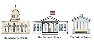 Every Branch of Government Explained in 7 minutes Wealth