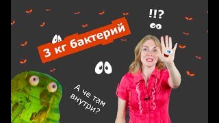 Биология | Бактериальная клетка.Что там внутри?