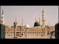 بحالي ربي أعلم كم أهوى الهادي الأكرم ﷺ 