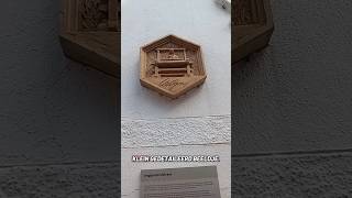 zeker Fijn maar Klein! #funny  #nederlands #local #fyp #smallyoutuber #knowledge #woman #getsmarter