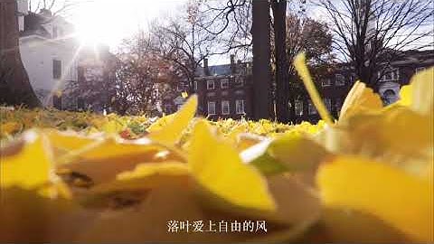 coderwhy前端系统课(拼课加V：Easy_Study_)