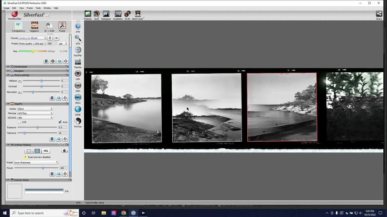 How to Scan Film Borders at Home YouTube
