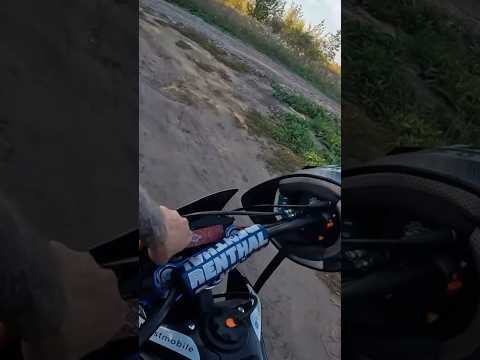 Макс Ващенко НЕ ПОЛУЧИЛОСЬ, НЕ ФАРТАНУЛО #shortsyoutube #максващенко