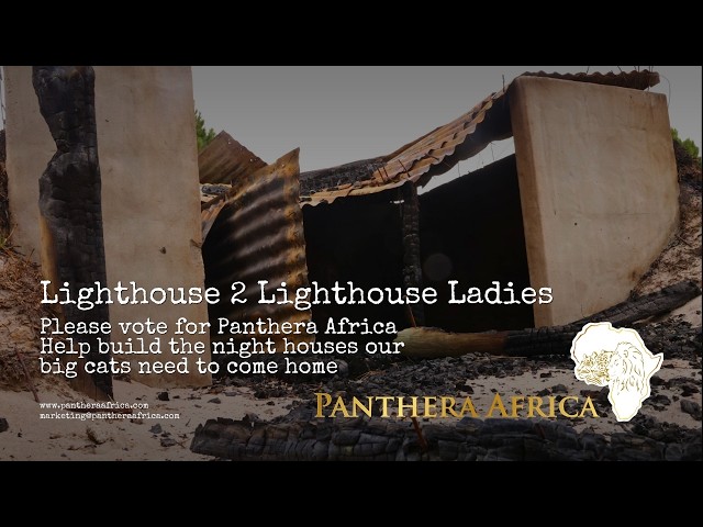 Lighthouse 2 Lighthouse Ladies Funding