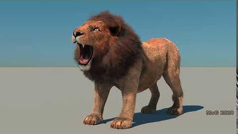 iC7 to C4D: "Lion with C4D Fur #1" (Redshift Render, 4K, HDR)