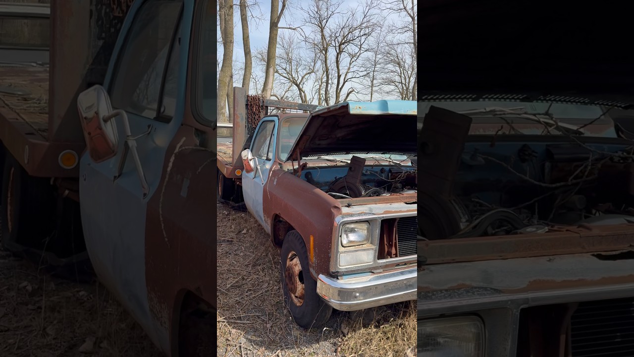 ABANDONED PICKUP TRUCK #automobile  #explore #abandoned #urbex #classiccar #pickuptruck #fyp #truck