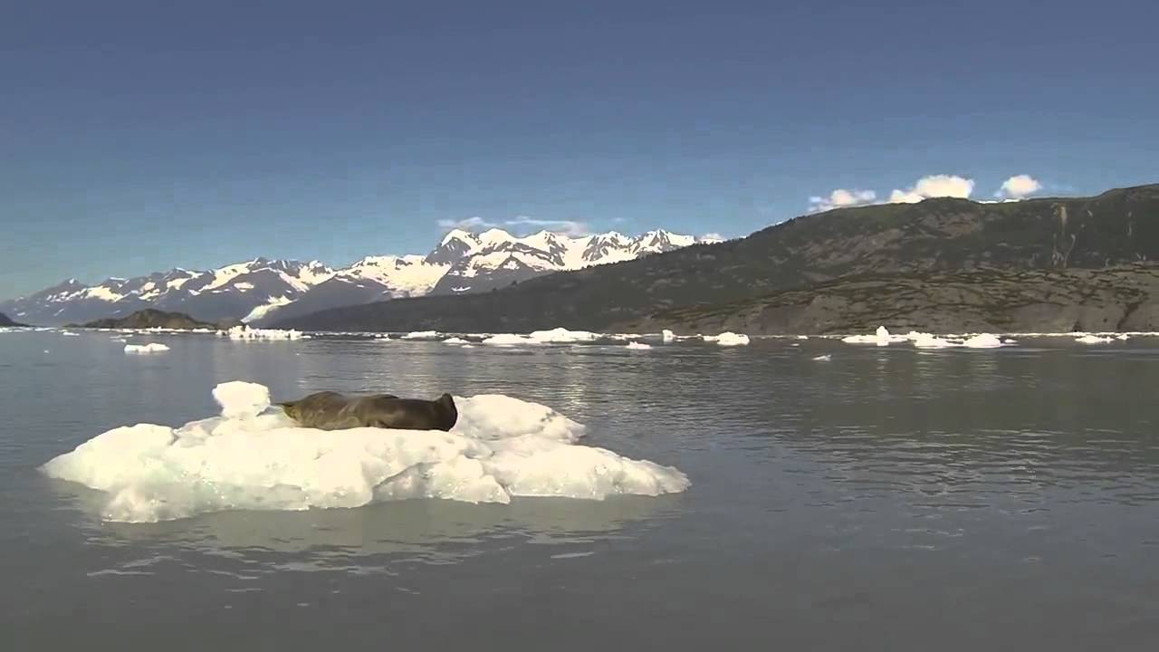 Вдруг, откуда не возьмись... - YouTube