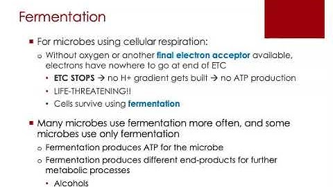 BIOL205R Microbial Metabolism Part 2 #4of4