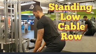 How To: Standing Low Bar Cable Row (Get a thicker back)