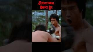 The Sensational Bruce Lee! #shorts #brucelee #fights #enterthedragon