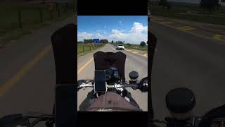 "Diamonds and Rust" by Axel Rudi Pell #shorts #music #bikerdog #jonty