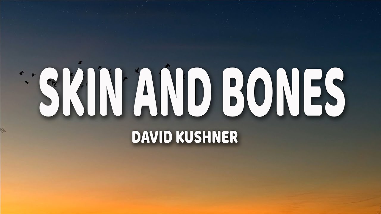 David Kushner Skin and Bones (Lyrics) "wrap me in your skin and bones