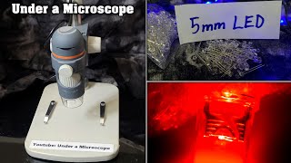 5Mm Led Under A Microscope Lp. Light Emitting Diode. Up Close.
