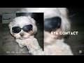 Audios That Gonna Make You Think You Re In A Edit Audiosplaylist Audios Playlist Funk Song 