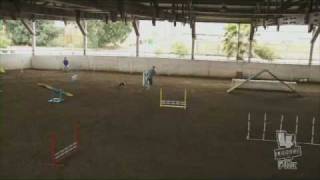 Boston Terrier Kuki's first CPE dog agility trial- Sun Jackpot run Update