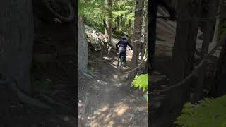 Whistler is actually peak #bike #mtb #amtb #automobile #mountainbike #trythatinasmalltown #wallride