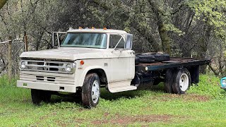 1970 Dodge D500 Dump truck! Will it run and drive after 5 Years parked?