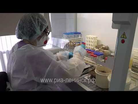 Туберкулез – профилактика, кто в группе риска, первые симптомы.