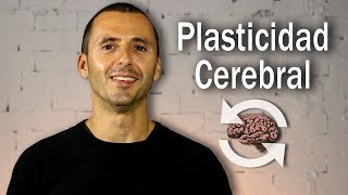 Neuroplasticidad  Plasticidad Cerebral