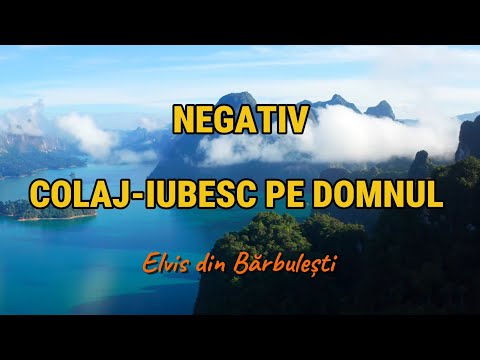 NEGATIV -IUBESC PE DOMNUL COLAJ (Elvis și Amira din Barbulesti instrument playbakc original)