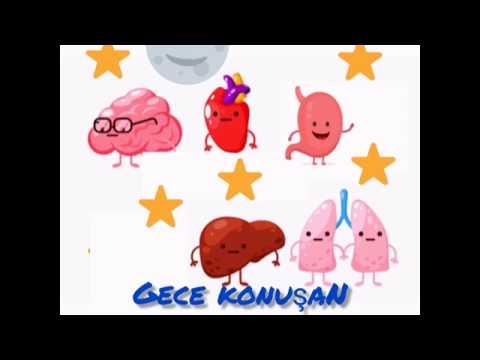 gece konuşan organlar hikayesi