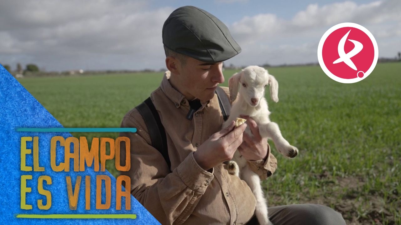 Un cabrero como los de antes | El campo es vida