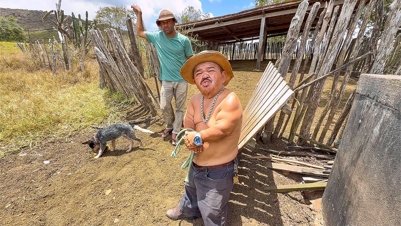 PILILIU MORRE DE MEDO COM ASSOMBRAÇÃO DA ESTRADA 🧟‍♂️😱| PILILIU DA RESENHA