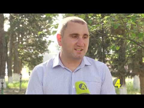 რუსთავში შავი ფიჭვების შეწამვლა გრძელდება 6-8-2020